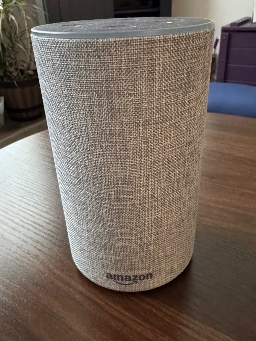 Amazon Echo Smart Speaker - Light Gray